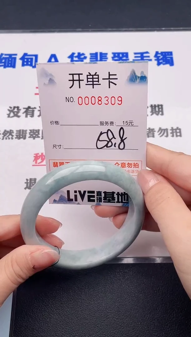 未镶嵌手镯翡翠09