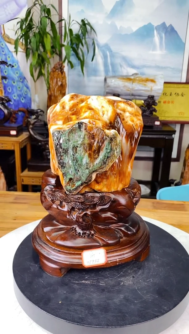 硅化玉珠宝奇石未镶嵌1