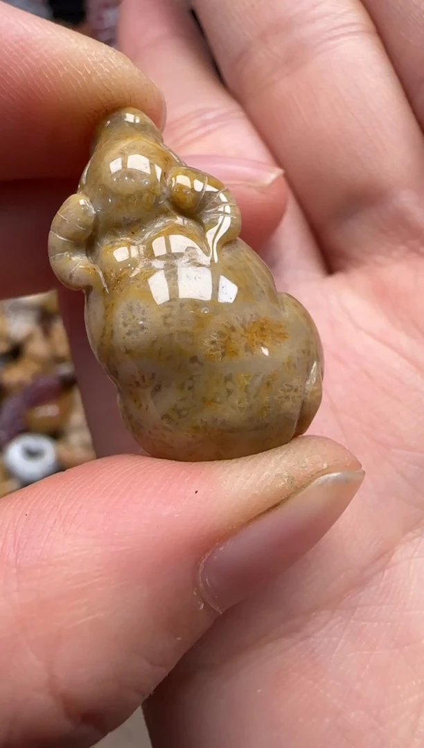 【闪购商品】硅化珊瑚（珊瑚玉）颈饰未镶嵌697