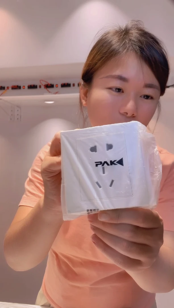 嵌入式三雄V6单相二三极插座V6/10US  10/组