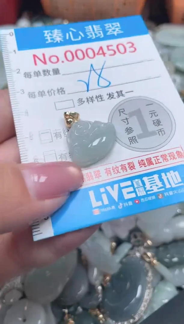颈饰未镶嵌翡翠4503