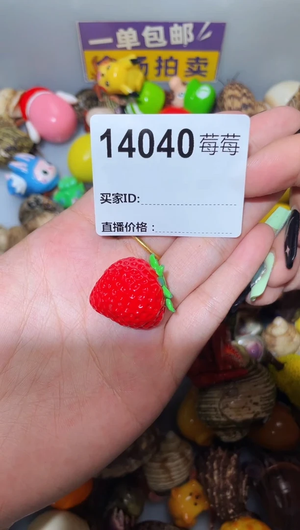 寄居蟹陌派甄选寄居蟹14040