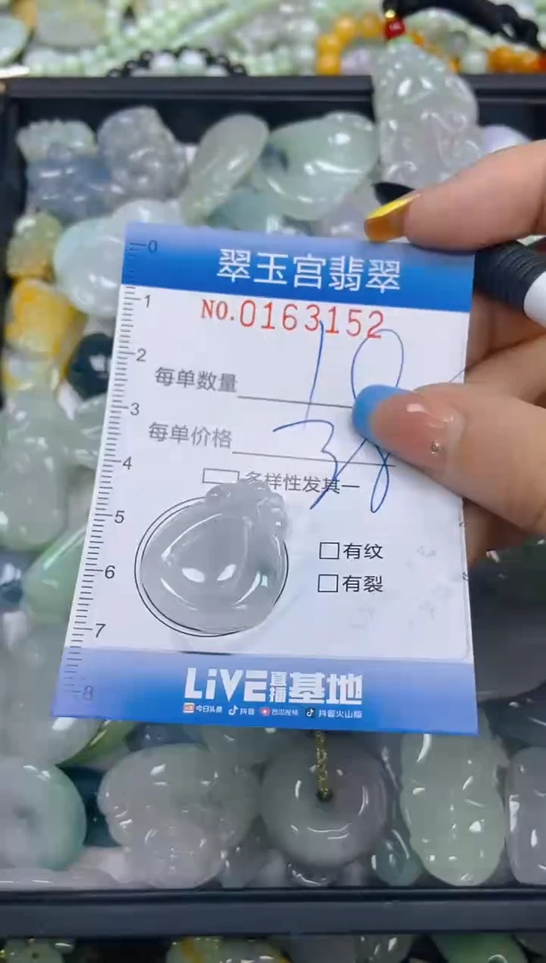 翡翠未镶嵌颈饰闪购0163152