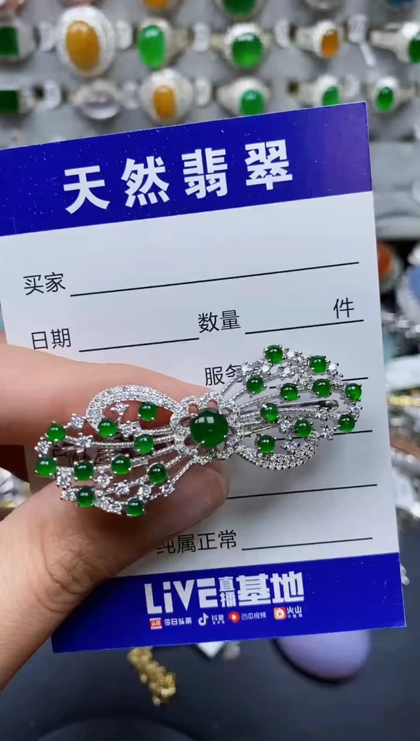 【闪购商品】翡翠颈饰银S925镶嵌0184