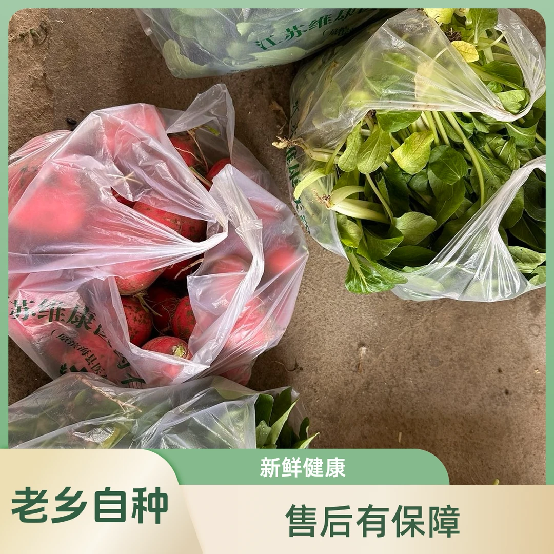 阿张农产品农村露天蔬菜 香瓜 西红柿 瓠子 茄子 普通快递全国