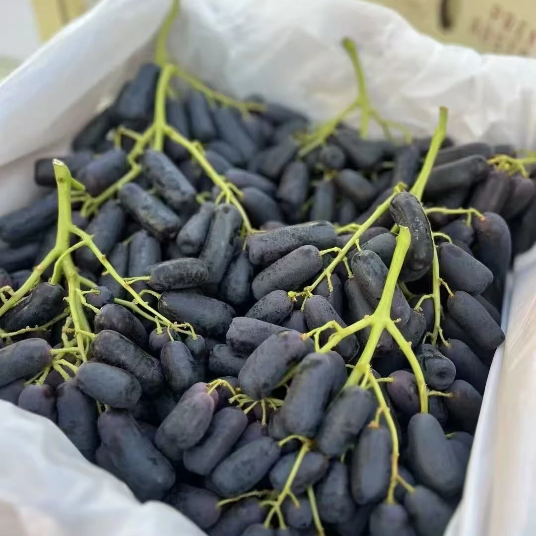 云南金手指葡萄 脆甜无籽 新鲜现摘 3斤、5斤装特级果