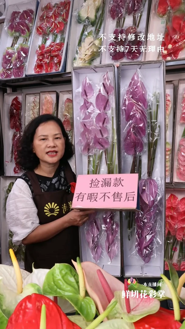 普利维亚  20支 微瑕不售后