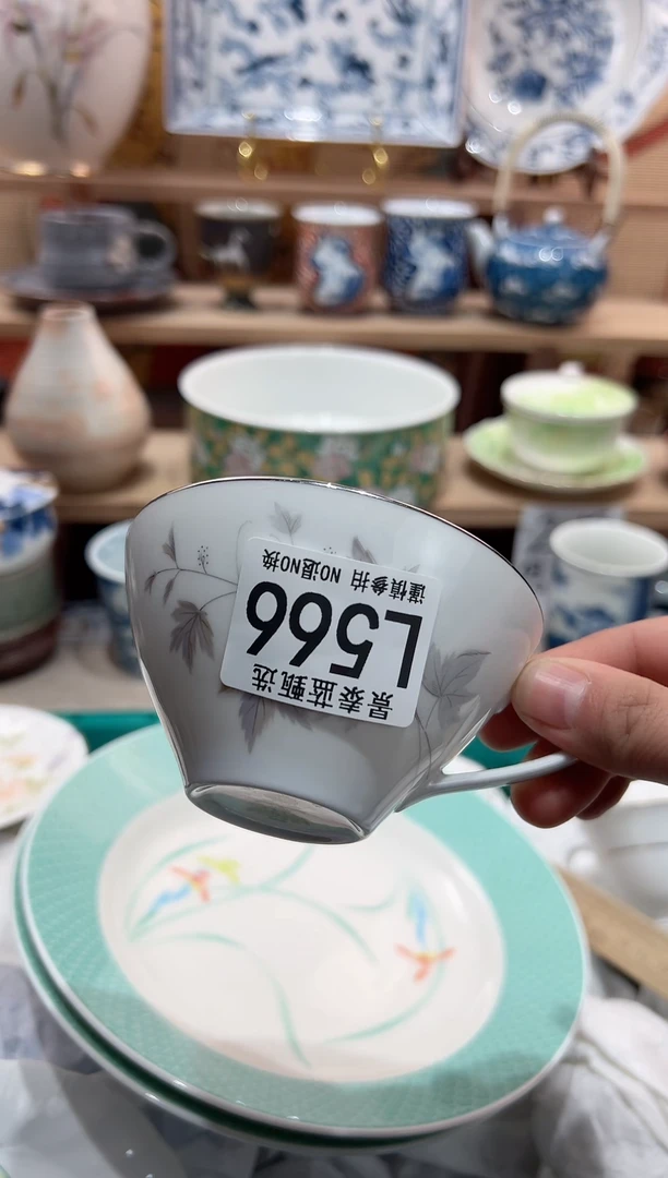 【闪购商品】瓷片当天凑满25米包邮L566