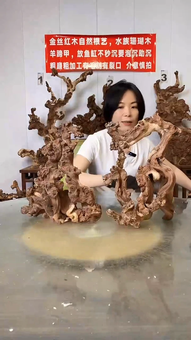 香榧木金丝红木 羊蹄甲