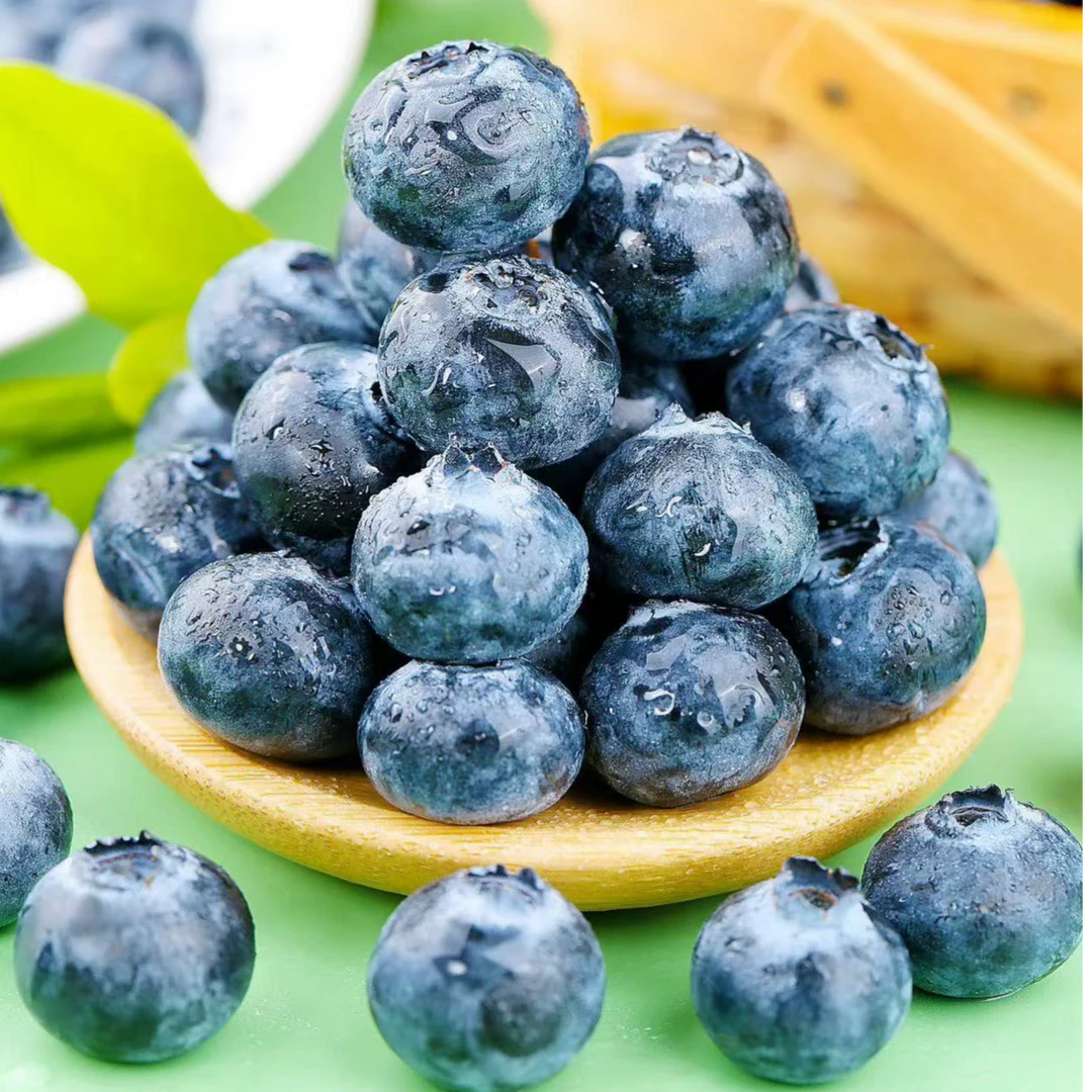 【顺丰】蓝莓脆甜多汁新鲜现摘水果 丹东蓝莓