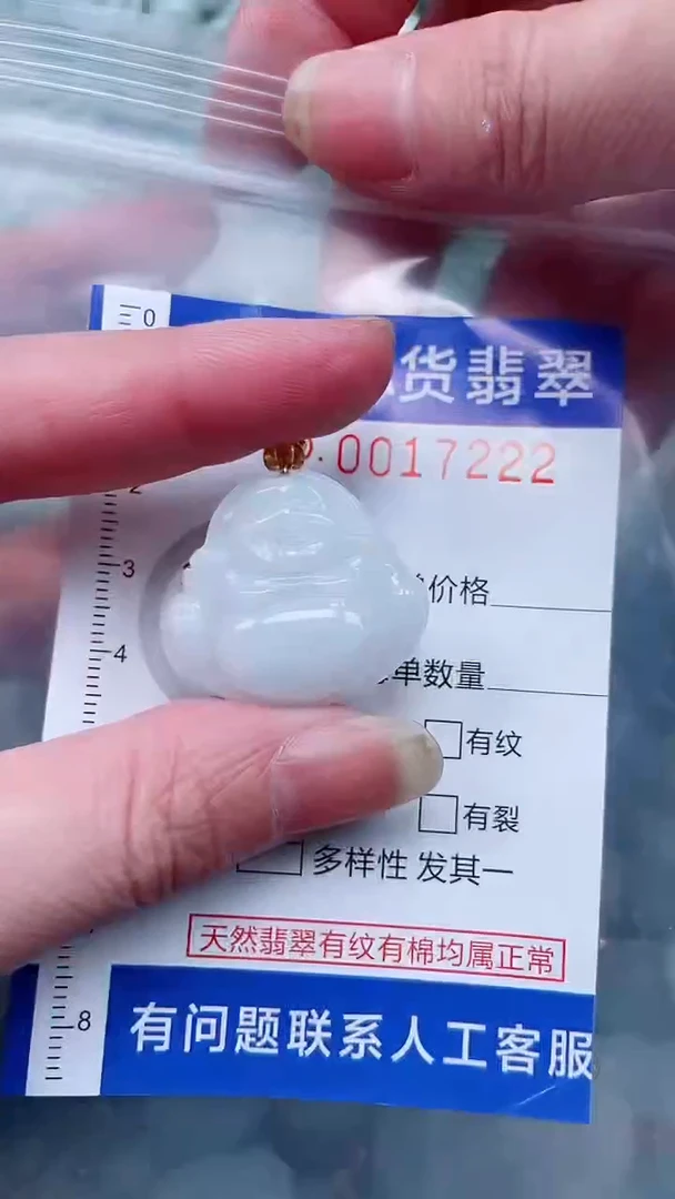 翡翠未镶嵌吊坠(不含链)1