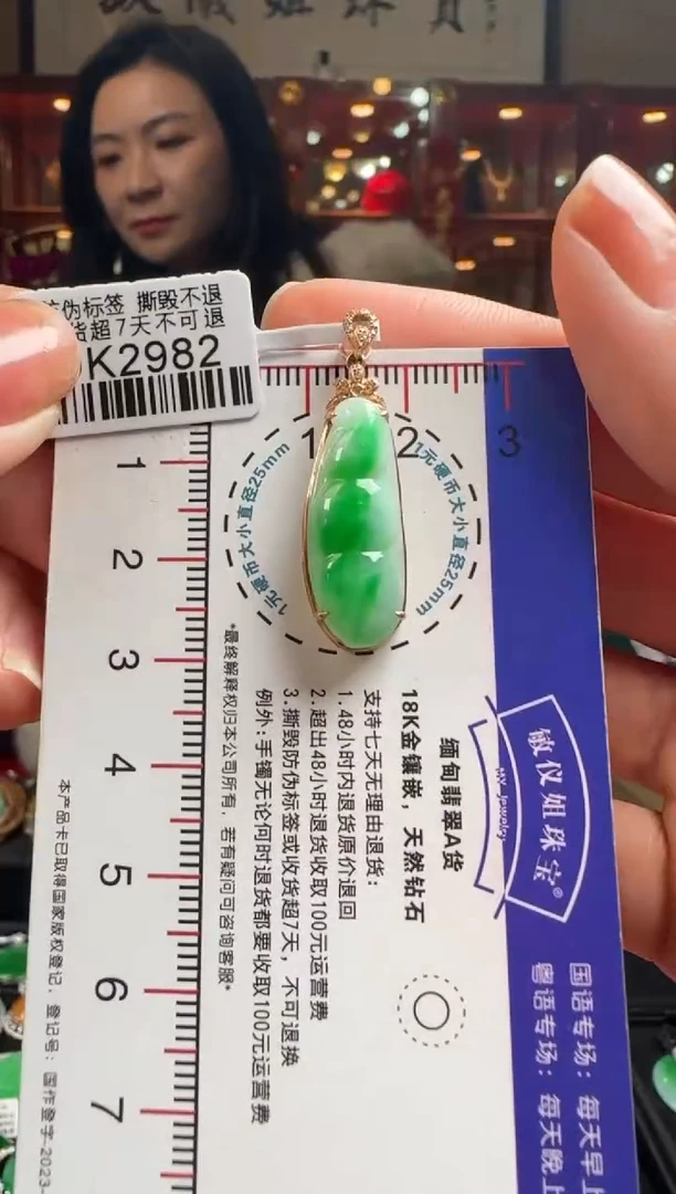 【闪购商品】翡翠颈饰18K金镶嵌DK2982阳绿富贵豆