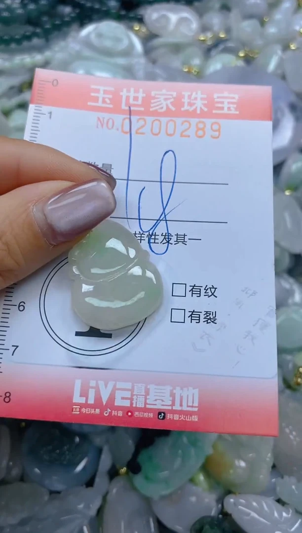 【闪购商品】翡翠颈饰未镶嵌闪购0200289