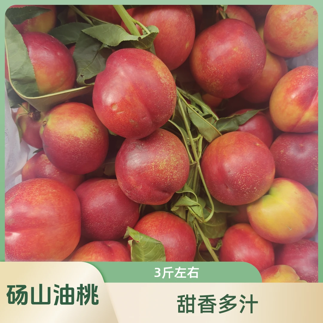 砀山麻脸红油桃。净2斤左右当季新鲜水果桃子黑龙江省