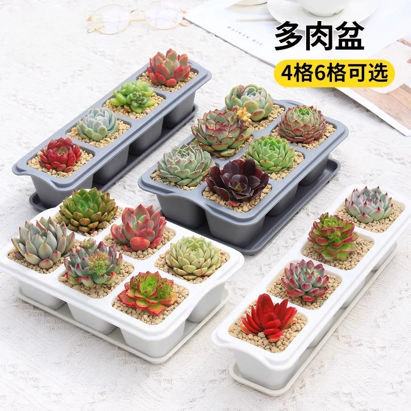 大口径多肉专用盆长方形桌面窗台种植格植物盆栽加厚塑料专用盆栽