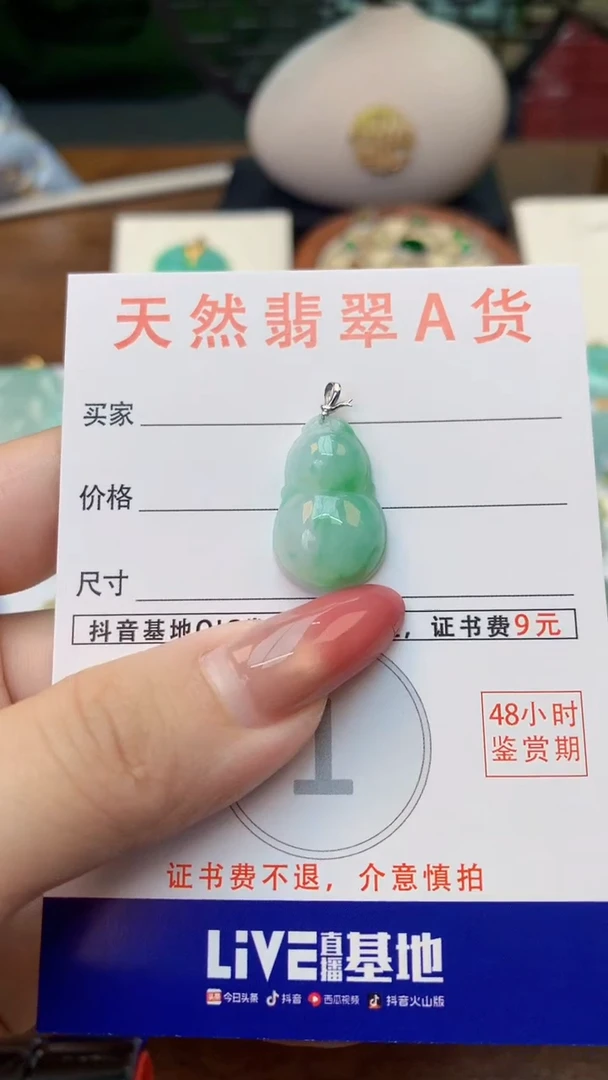 颈饰未镶嵌翡翠天然A货翡翠挂件