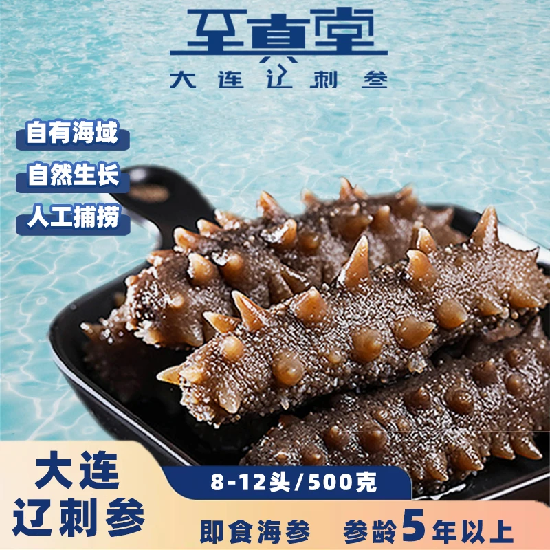 鲜食海参头茬秋参大连即食辽参海参正宗辽参海参即食辽刺参水产