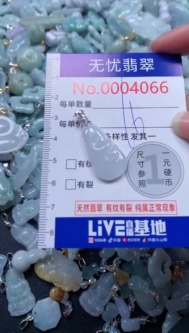 颈饰未镶嵌翡翠4066