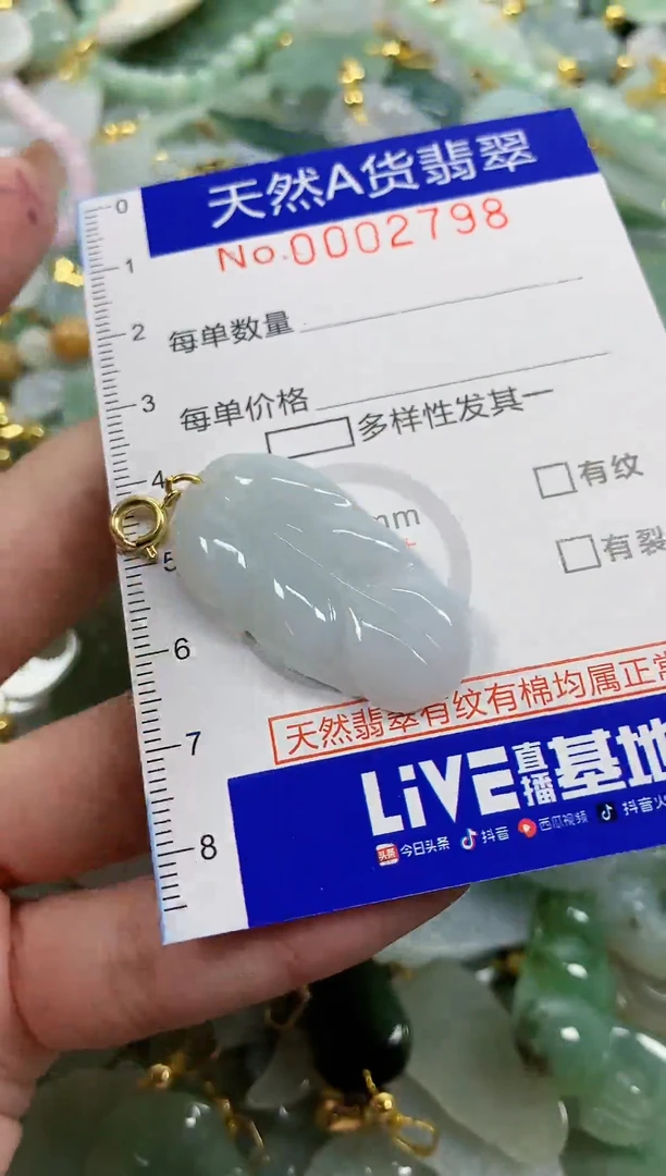 颈饰未镶嵌翡翠天然A货翡翠