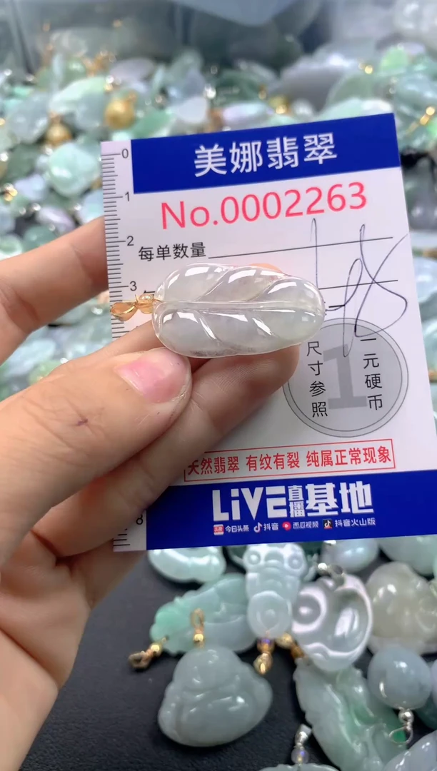 颈饰未镶嵌翡翠2263