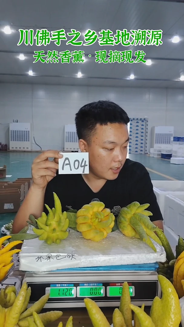 柑橘【一物一拍】川佛手柑鲜果A04
