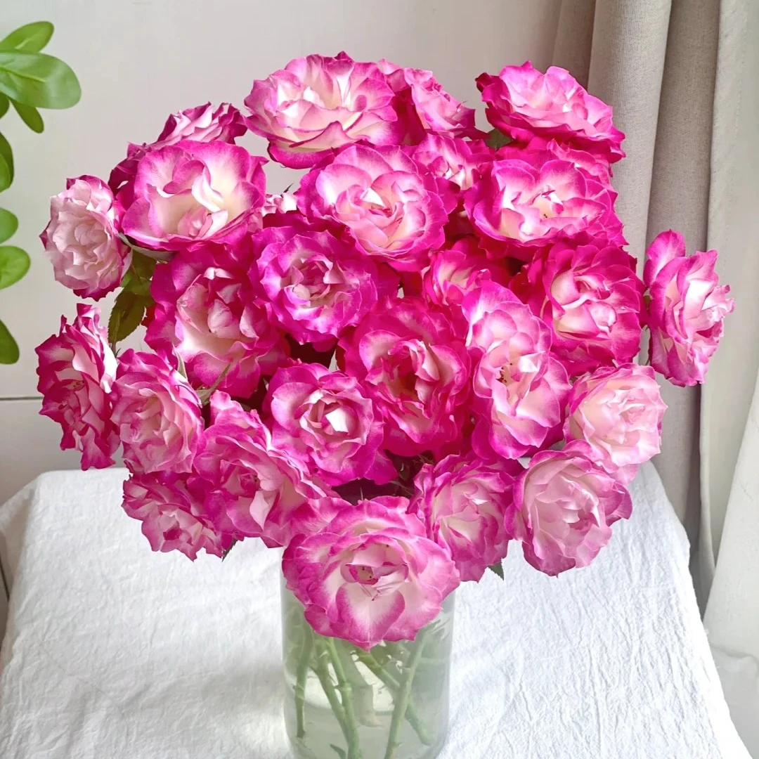 银河，多头玫瑰，1单冷链包邮，2单升级顺丰冷链，远的发德邦