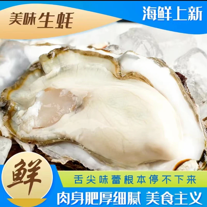 鲜活精品生蚝海鱼4.8-5斤装