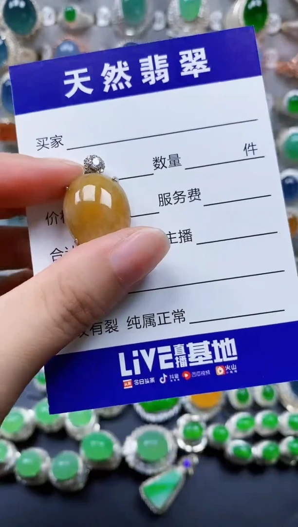 翡翠银S925镶嵌颈饰652