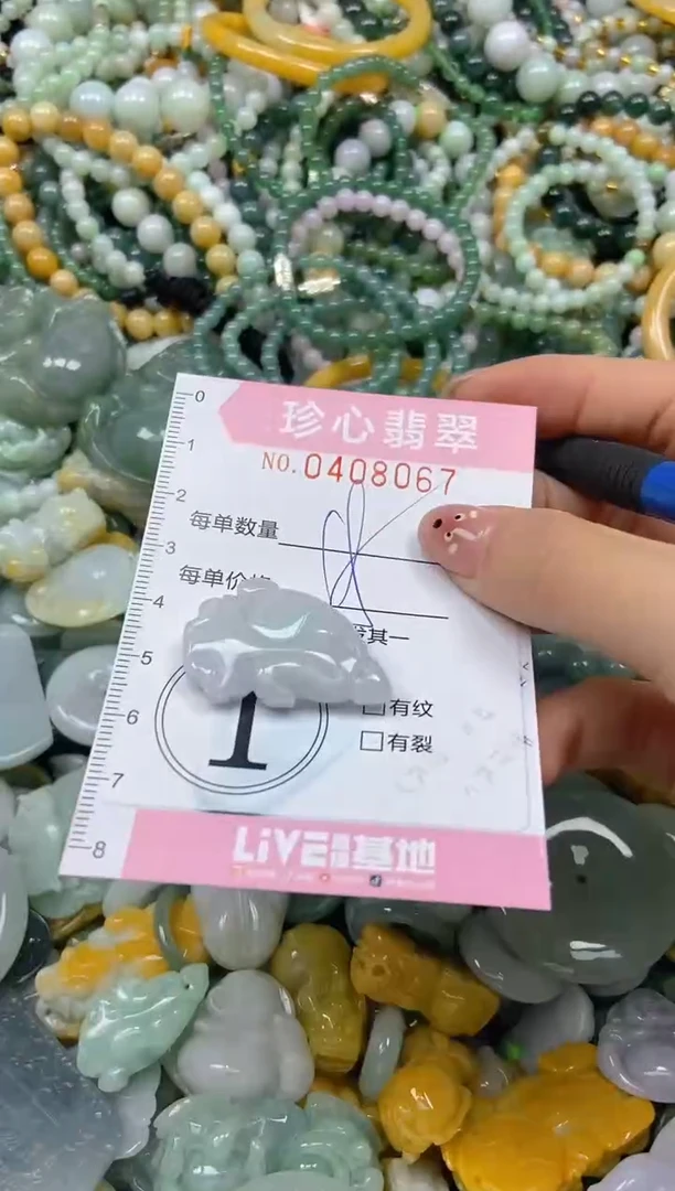 颈饰未镶嵌翡翠闪购0408067