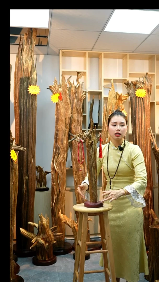 沉香木沉香碎屑沉香原料23