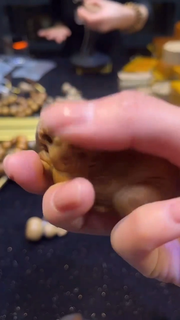 金丝楠       貔貅