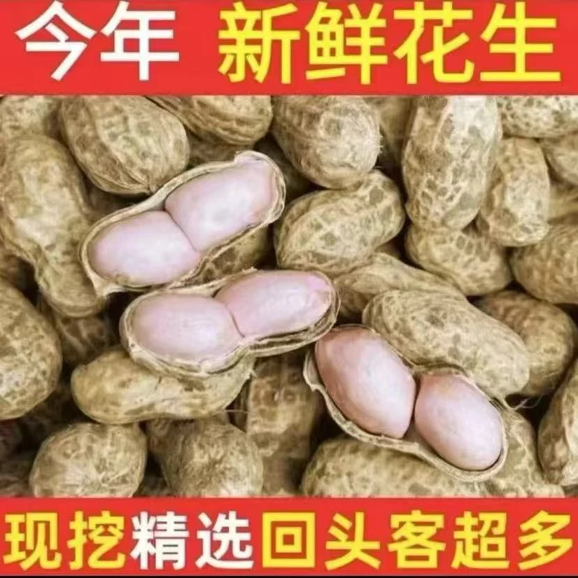 a新鲜现挖带壳湿花生农家自种可水煮生吃