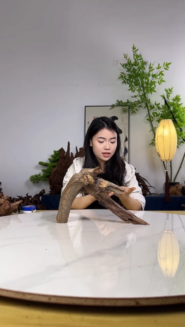 汤****6拍沉木定向链接编号91