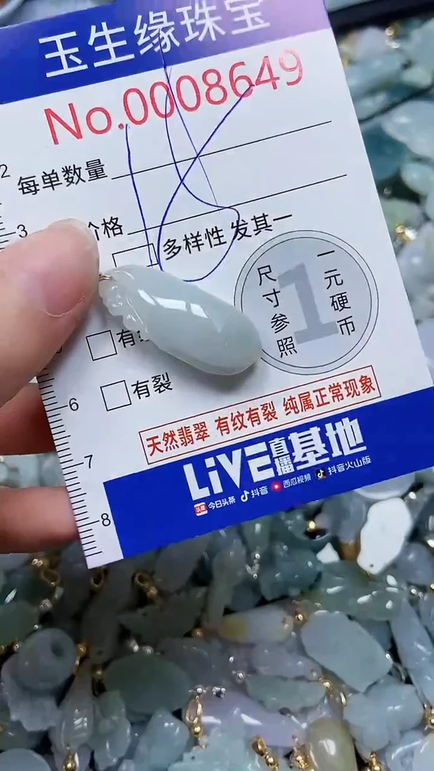 【闪购商品】翡翠颈饰未镶嵌闪购00008649