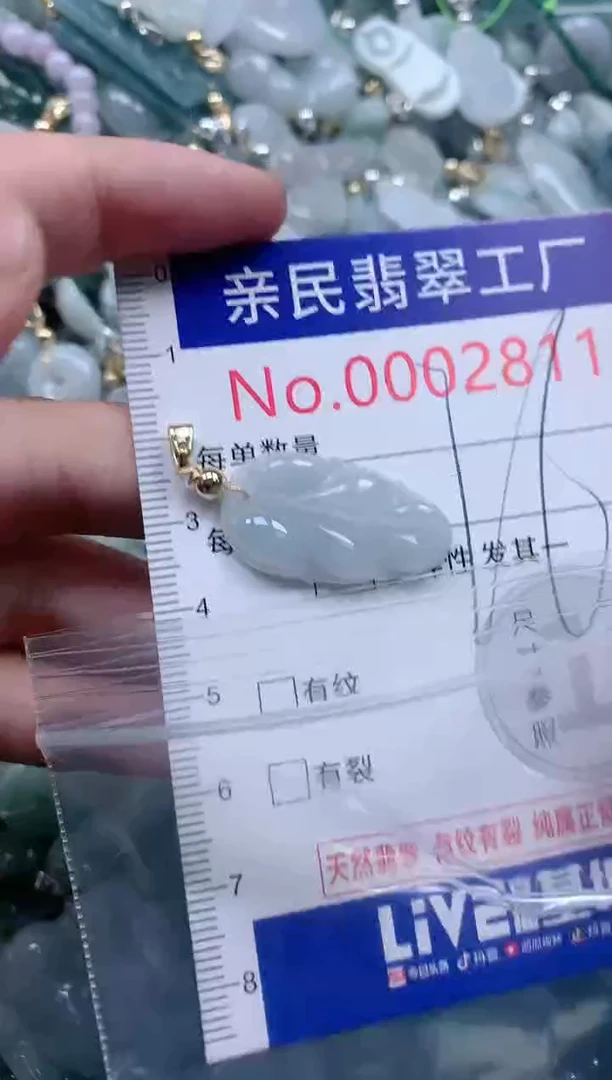 翡翠未镶嵌吊坠(不含链)2811