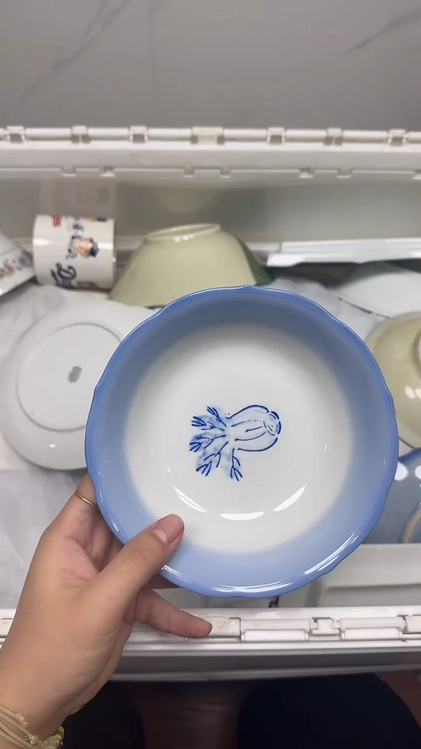 【闪购商品】806回流瓷器，默认微瑕18.8包邮