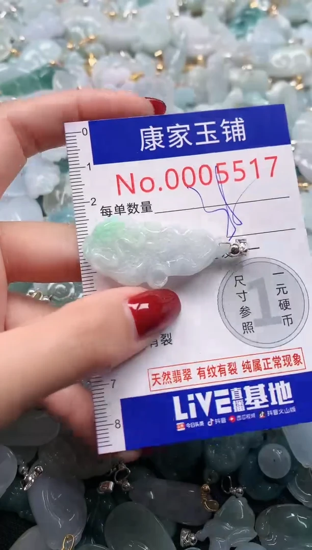 颈饰未镶嵌翡翠5517