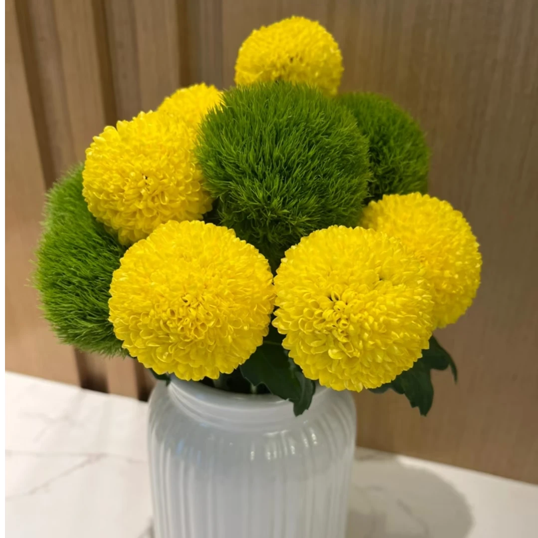 清新自然绿毛球+乒乓菊混搭花束插花家居办公室装饰云南顺丰包邮