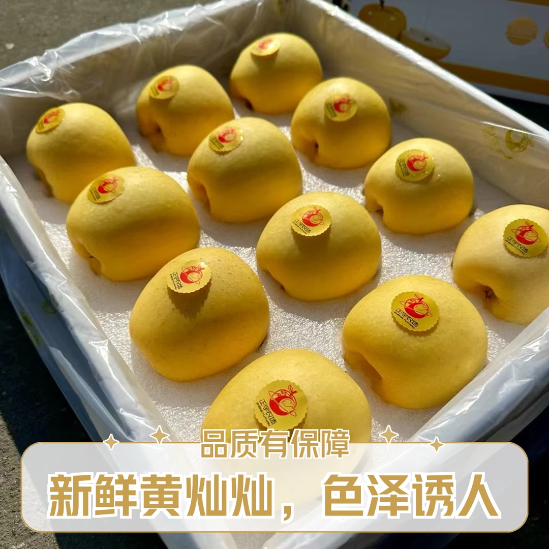 【年货福利礼盒】正宇维纳斯金苹果