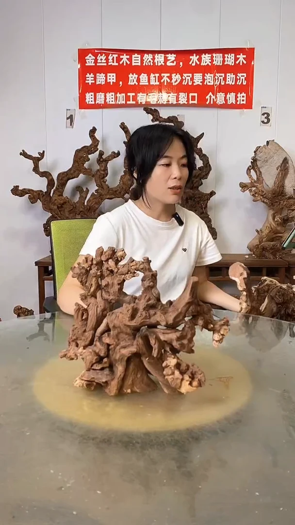香榧木花**下金丝红木   羊蹄甲