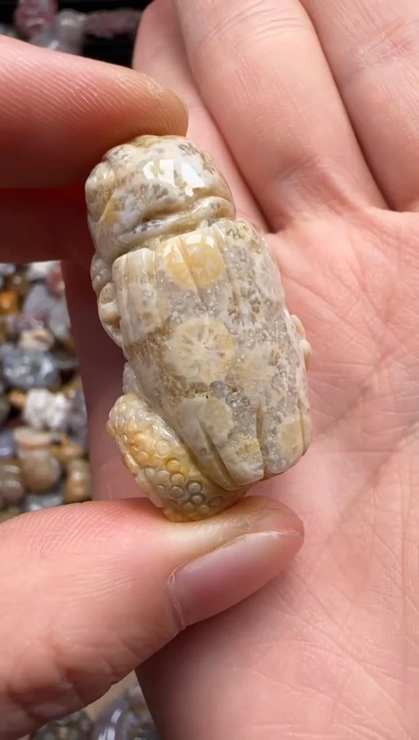 【闪购商品】硅化珊瑚（珊瑚玉）颈饰未镶嵌890