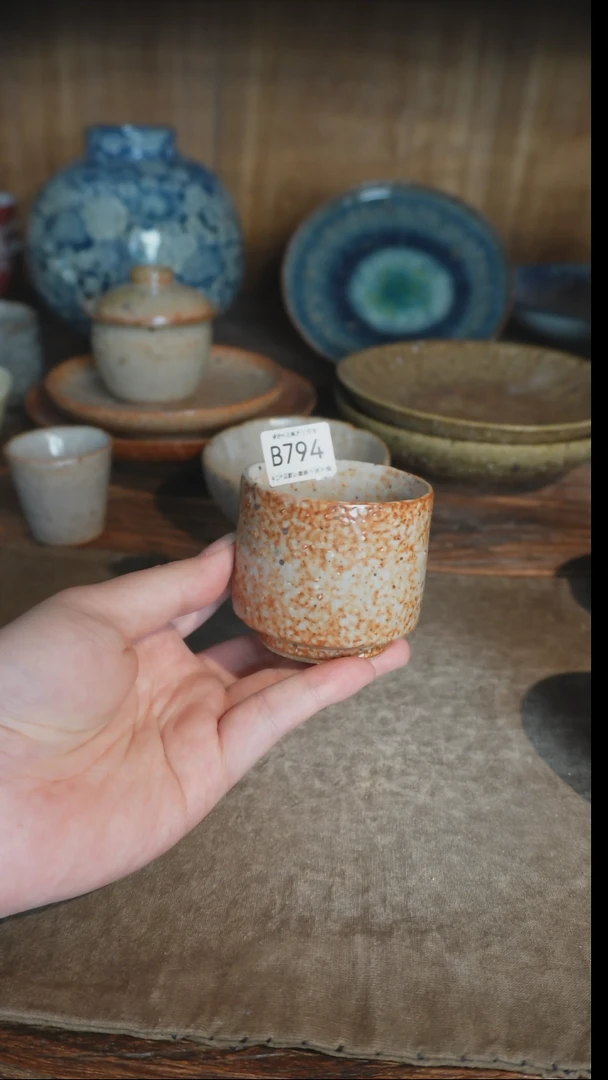 【闪购商品】B794号拍品，一物一拍