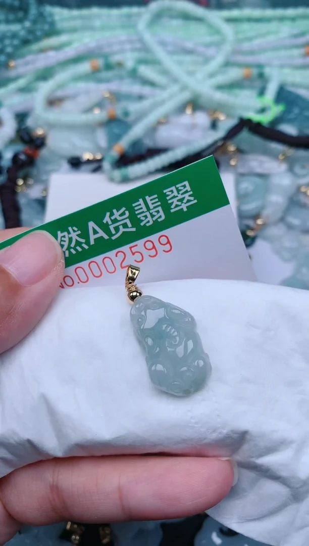 翡翠未镶嵌颈饰.0002599