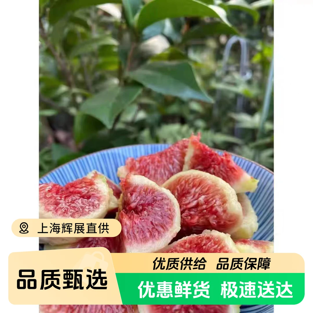 糖包子现摘波姬红红皮无花果鲜果树熟新鲜水果2斤