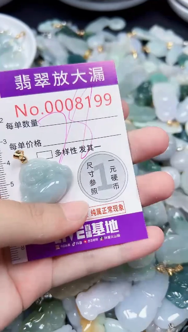 颈饰未镶嵌翡翠8199