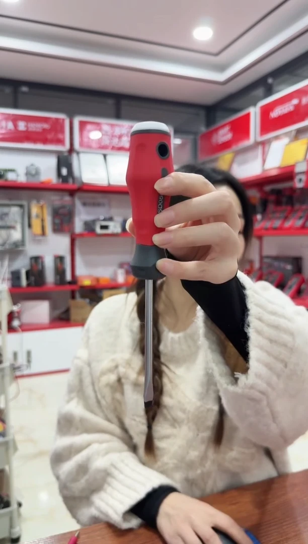 拓利亚SD08C019（一）6*100螺丝刀