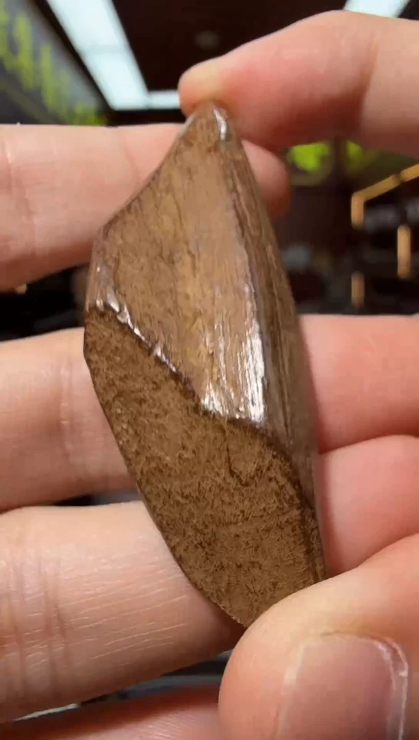 沉香沉香香囊4号红土多样性发一