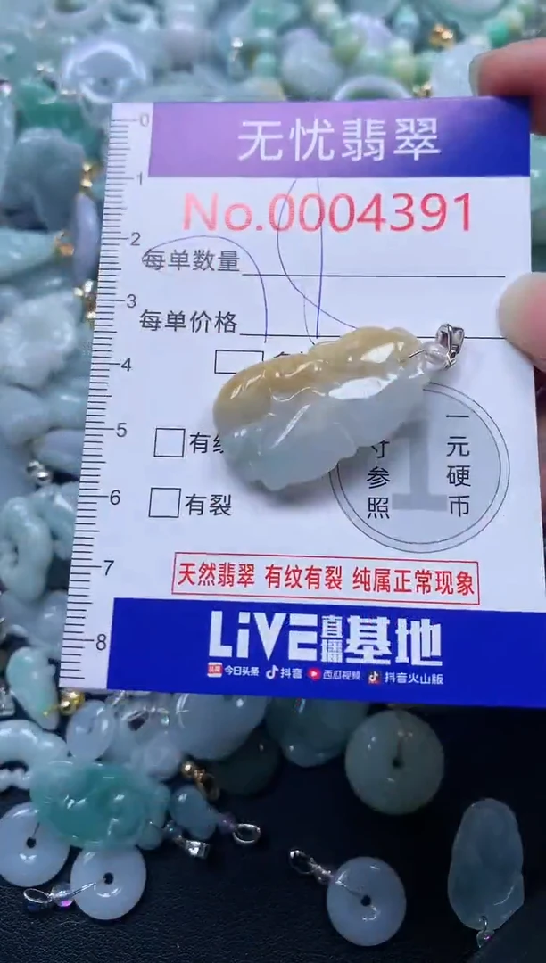 颈饰未镶嵌翡翠4391