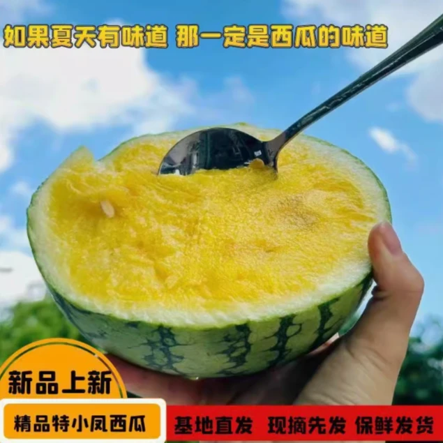 现摘特小凤黄心西瓜新鲜当季水果冰淇淋黄肉西瓜黄瓤薄皮