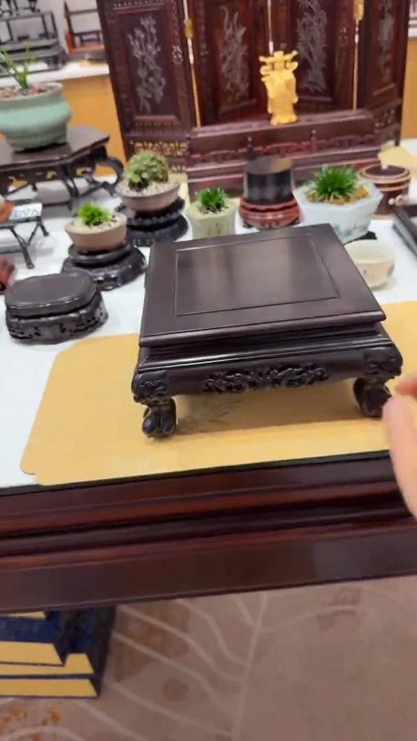 1紫砂紫砂紫砂紫砂紫砂